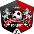 Fleury 91