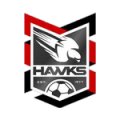 Holland Park Hawks
