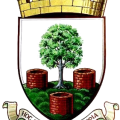 Wells City